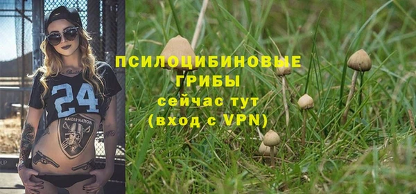 ALPHA PVP Волоколамск